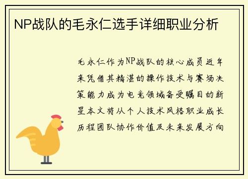 NP战队的毛永仁选手详细职业分析